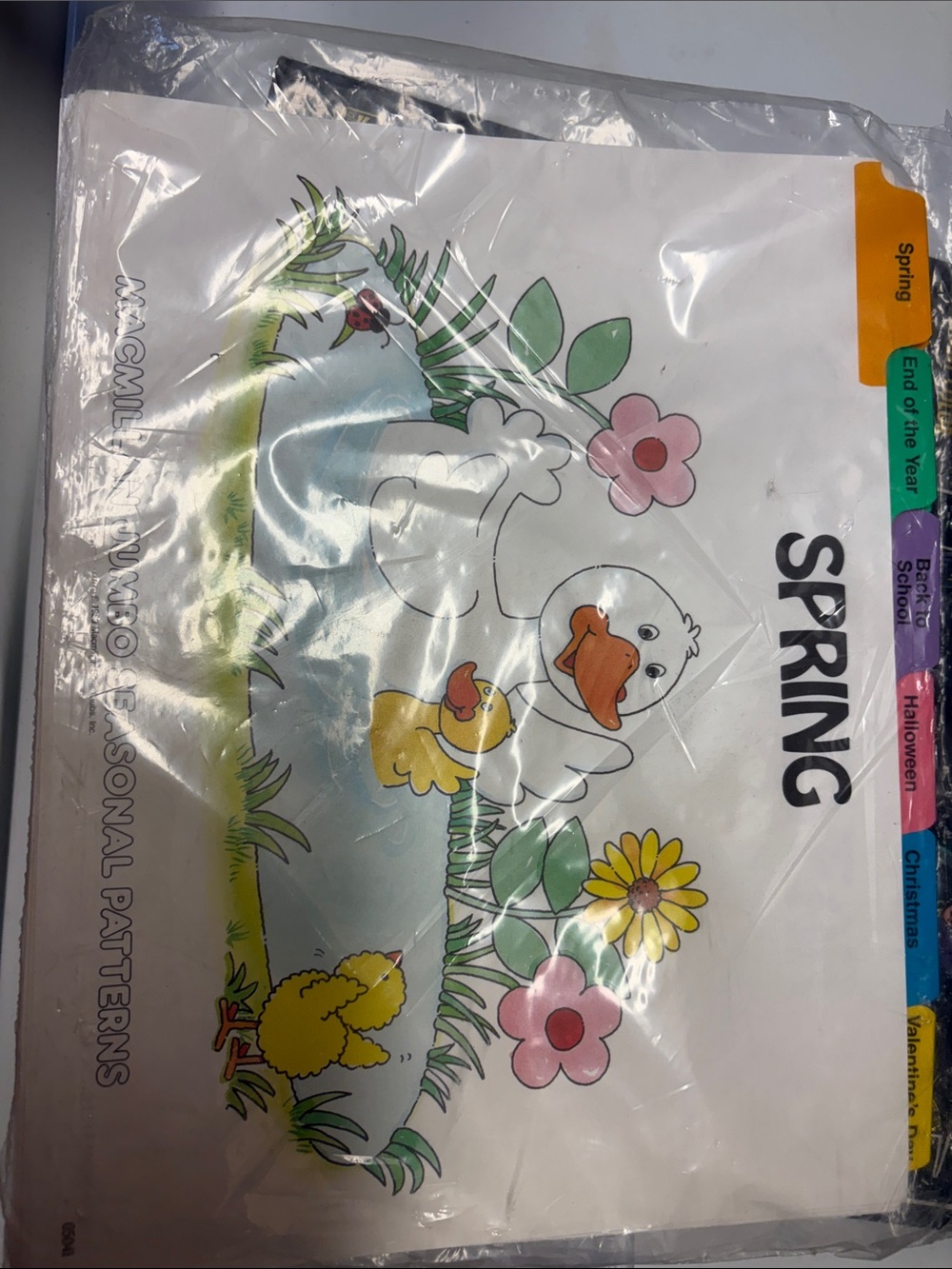 Spring Seasonal Pattern Duck and Duckling Print